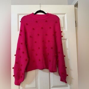 Crosby by Mollie Burch Pink Pom-Pom Sweater XS